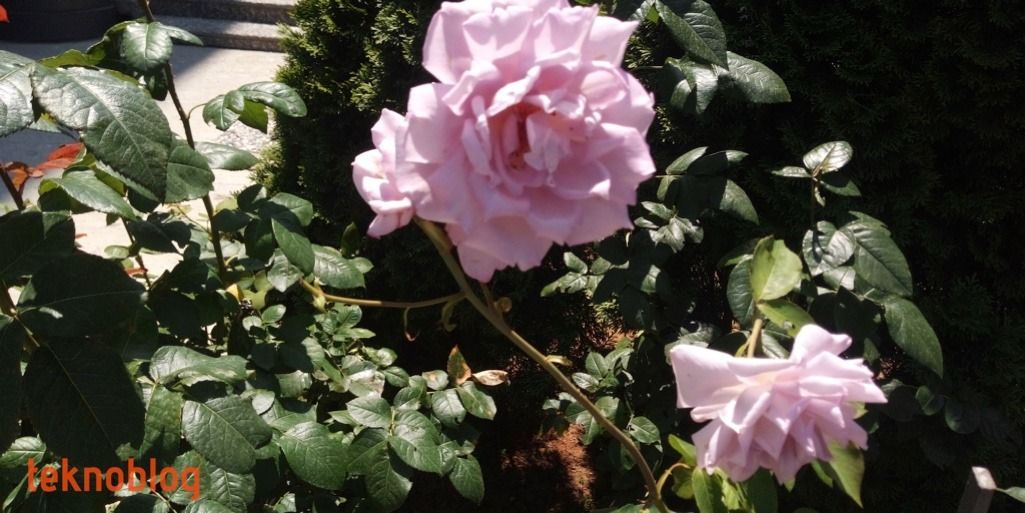 General Mobile GM 8 Go İncelemesi