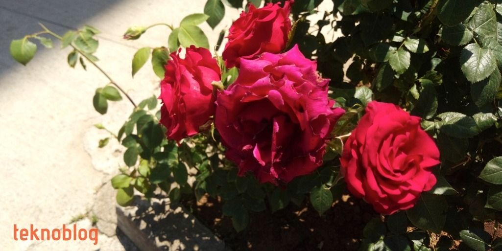 General Mobile GM 8 Go İncelemesi