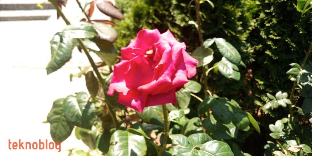 General Mobile GM 8 Go İncelemesi