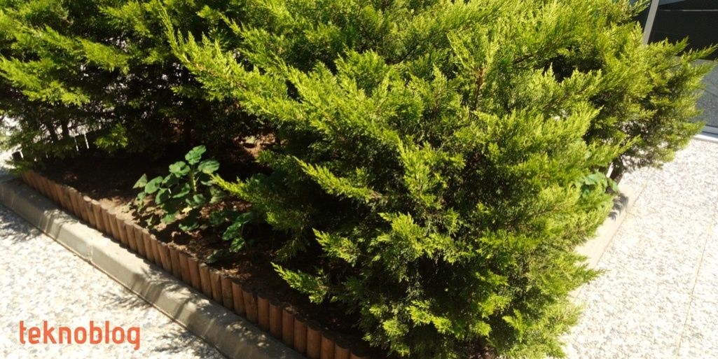 General Mobile GM 8 Go İncelemesi