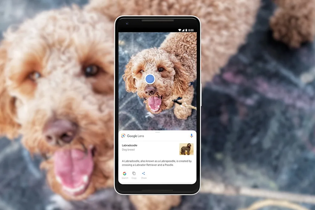 Google Lens Sony Xperia XZ2 ve XZ2 Compact’a geldi