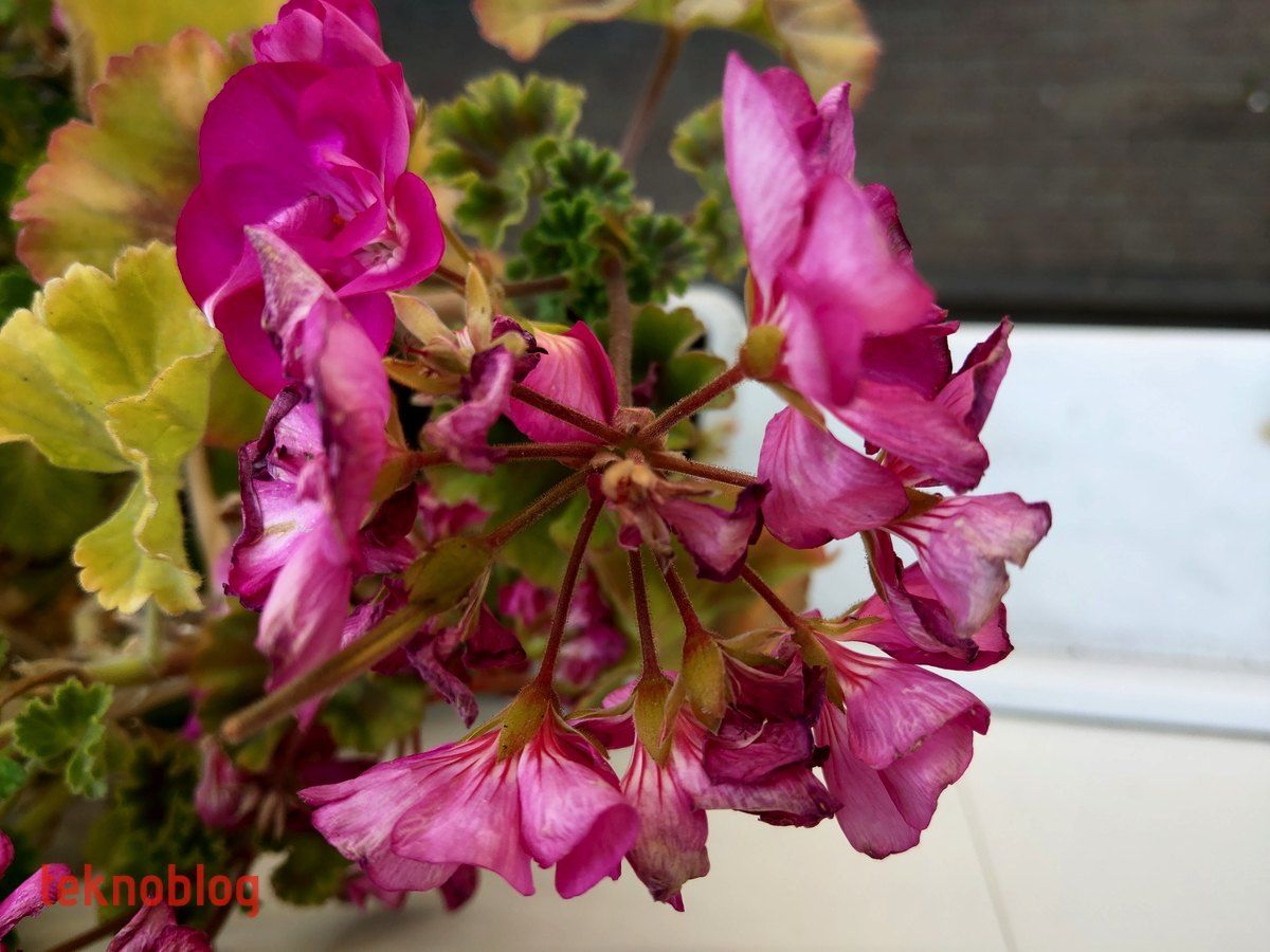 HTC U12+ İncelemesi