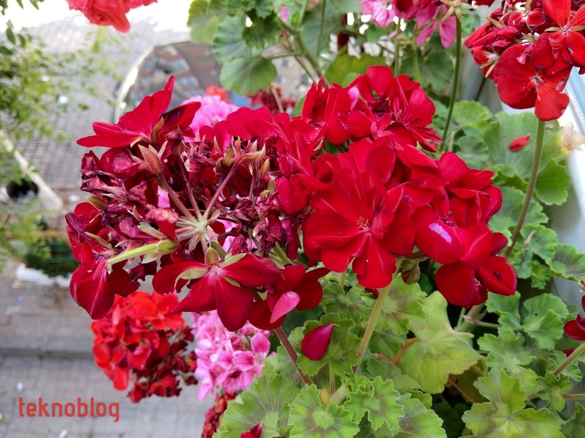 HTC U12+ İncelemesi