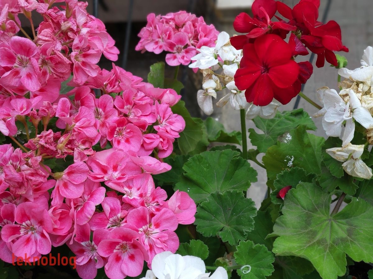 HTC U12+ İncelemesi