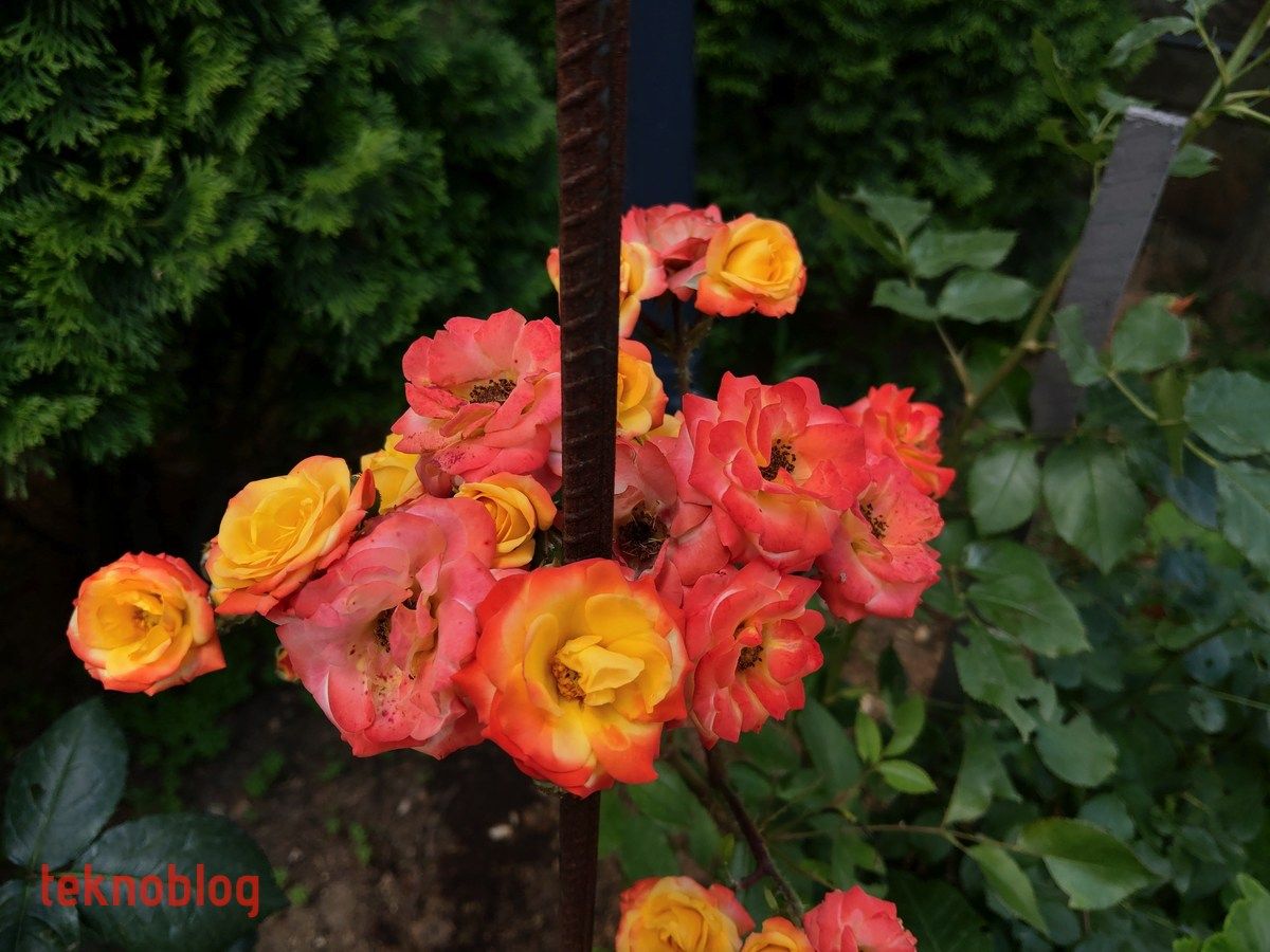 HTC U12+ İncelemesi