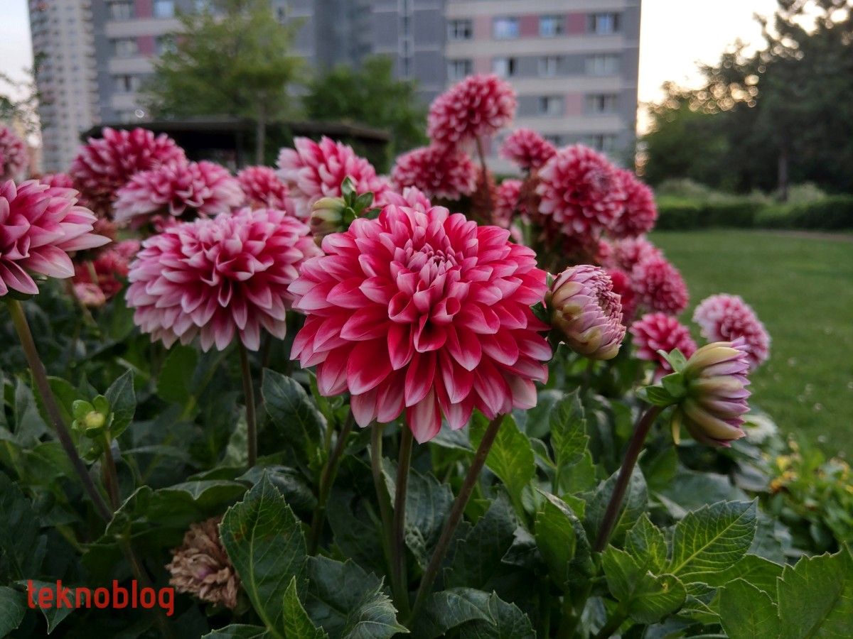 HTC U12+ İncelemesi