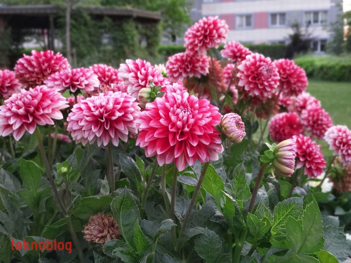 HTC U12+ İncelemesi