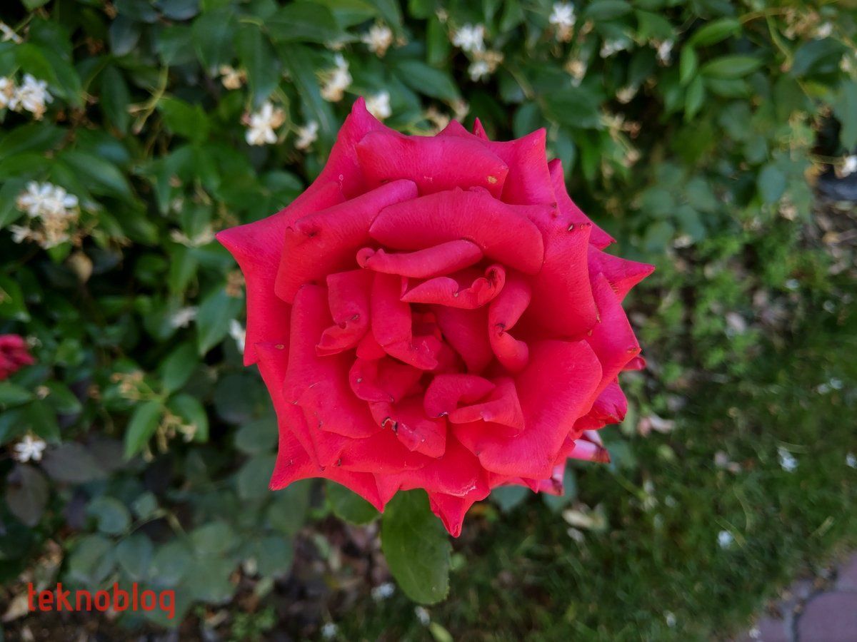 HTC U12+ İncelemesi