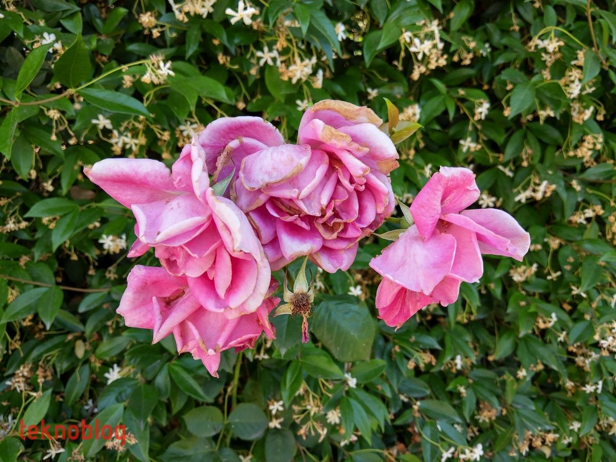 HTC U12+ İncelemesi