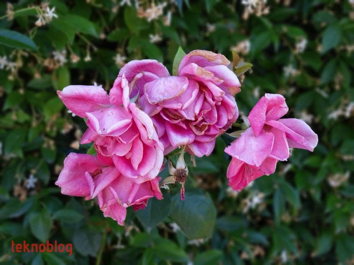 HTC U12+ İncelemesi