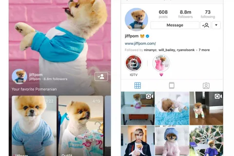 Instagram IGTV ile yeni bir video deneyimi sunacak