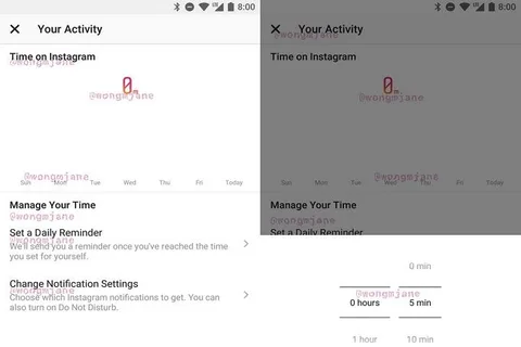Instagram’ın kullanım istatistikleri özelliğine ait ekran görüntüleri ortaya çıktı