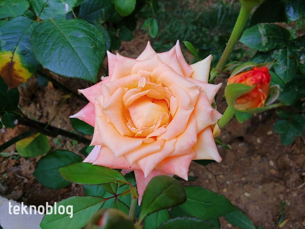 LG G7 ThinQ İncelemesi