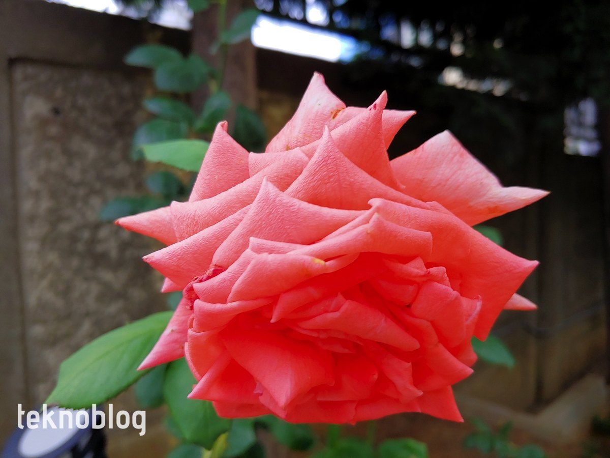 LG G7 ThinQ İncelemesi