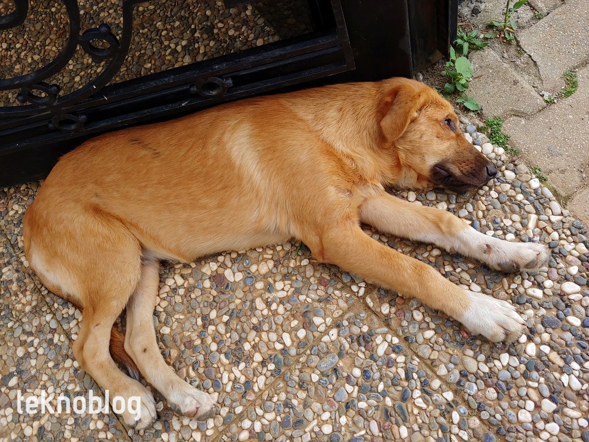 LG G7 ThinQ İncelemesi