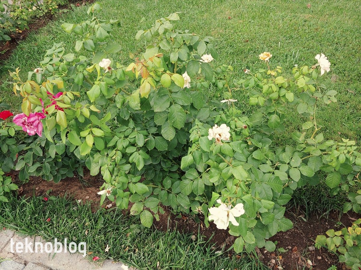 LG G7 ThinQ İncelemesi