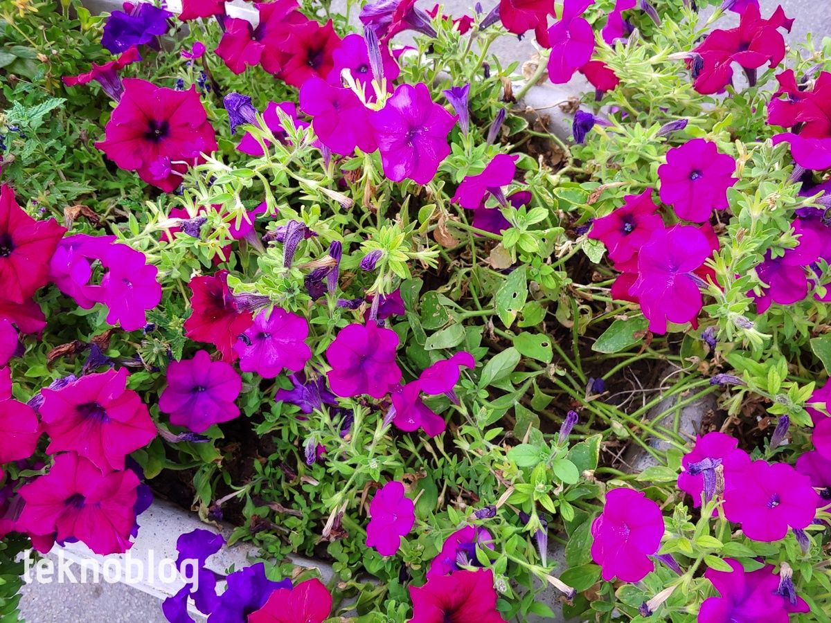 LG G7 ThinQ İncelemesi