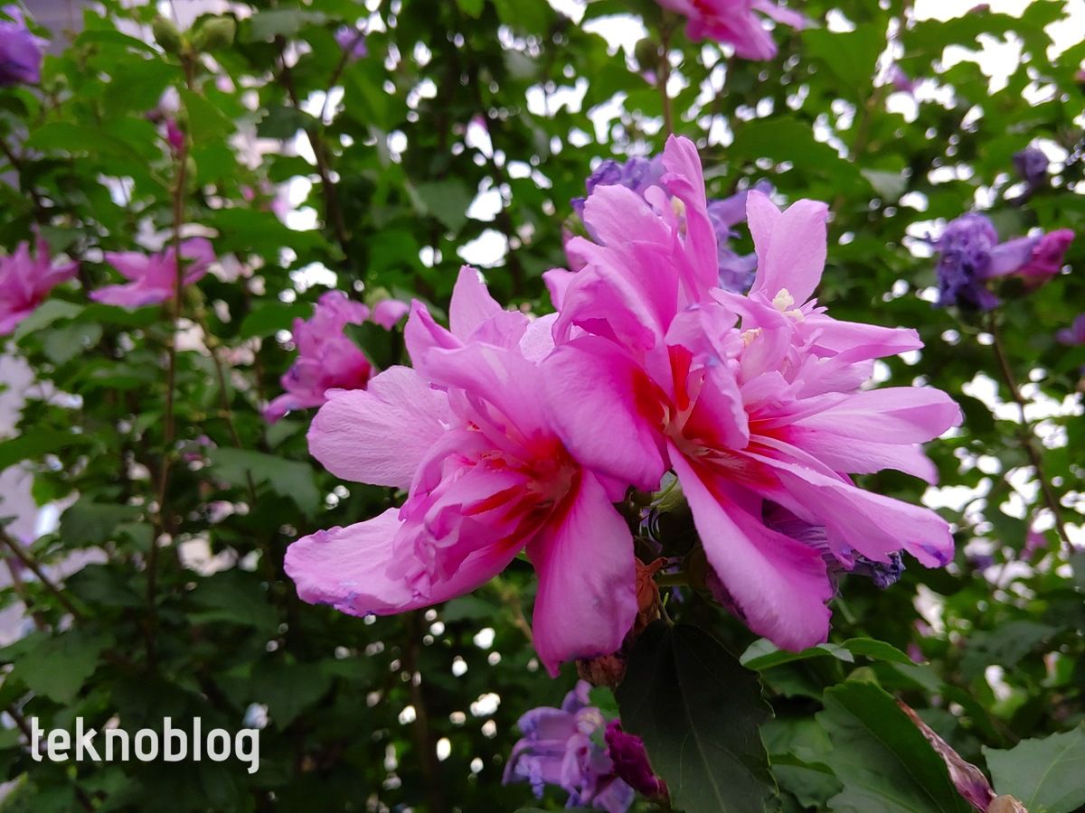 LG G7 ThinQ İncelemesi