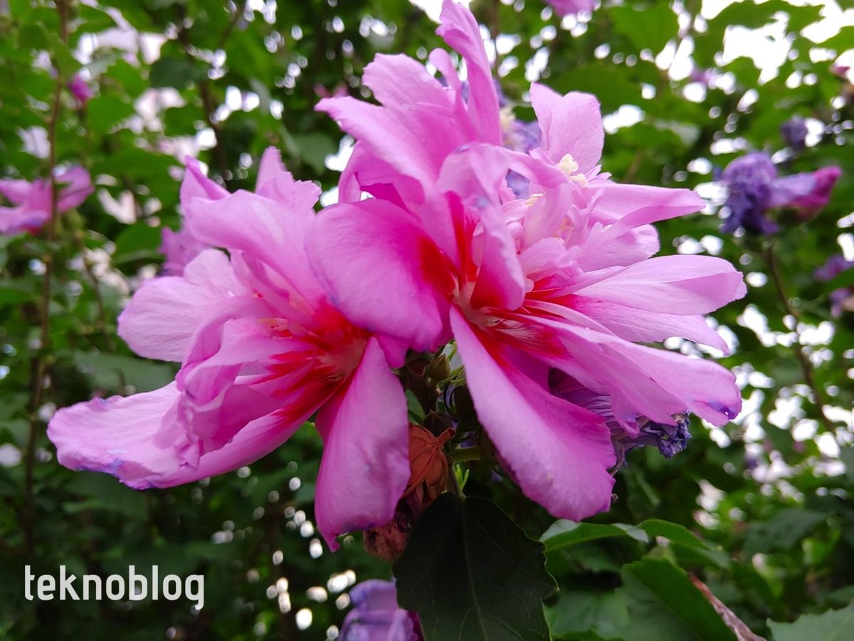 LG G7 ThinQ İncelemesi