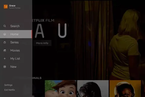 Netflix TV arayüzüne yeni bir kenar çubuğu ekledi, filmler ve dizileri böldü