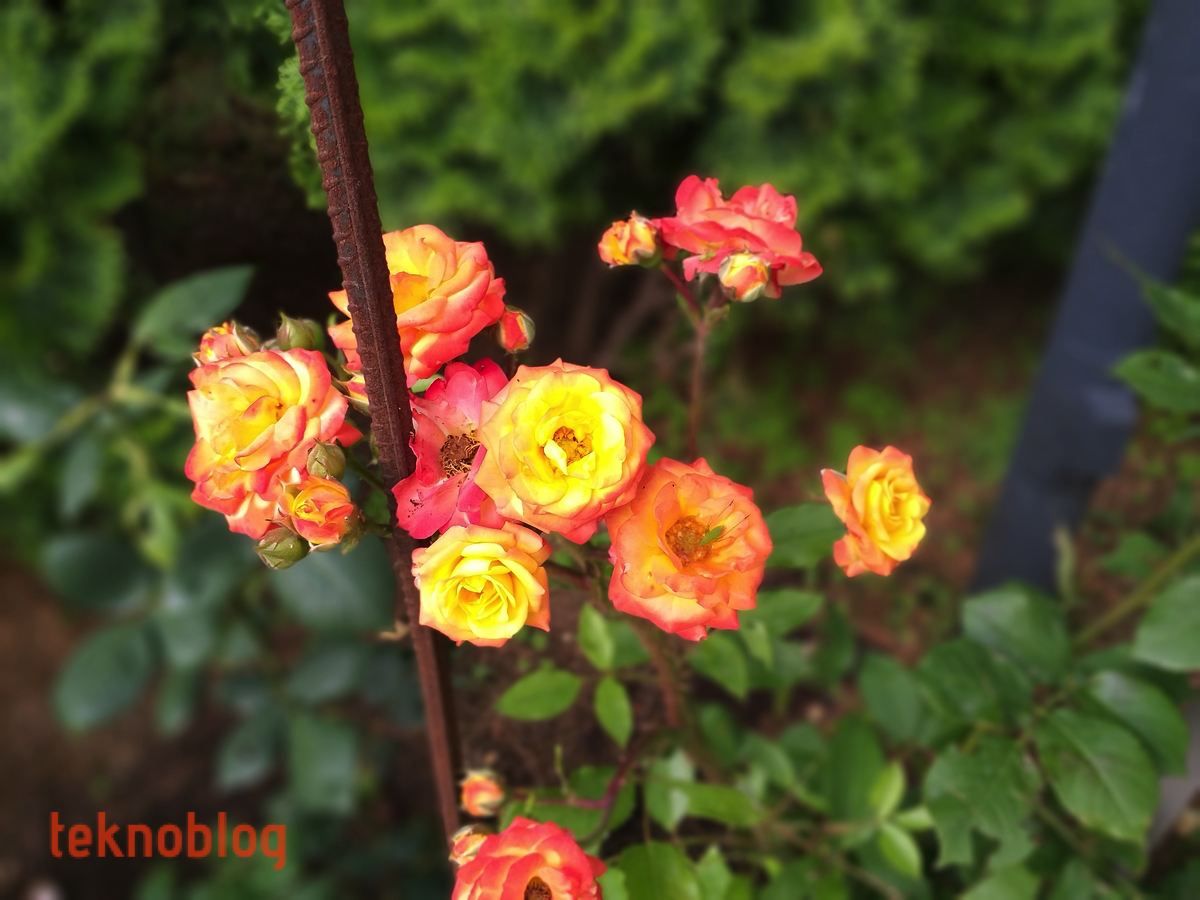 Samsung Galaxy A6+ İncelemesi