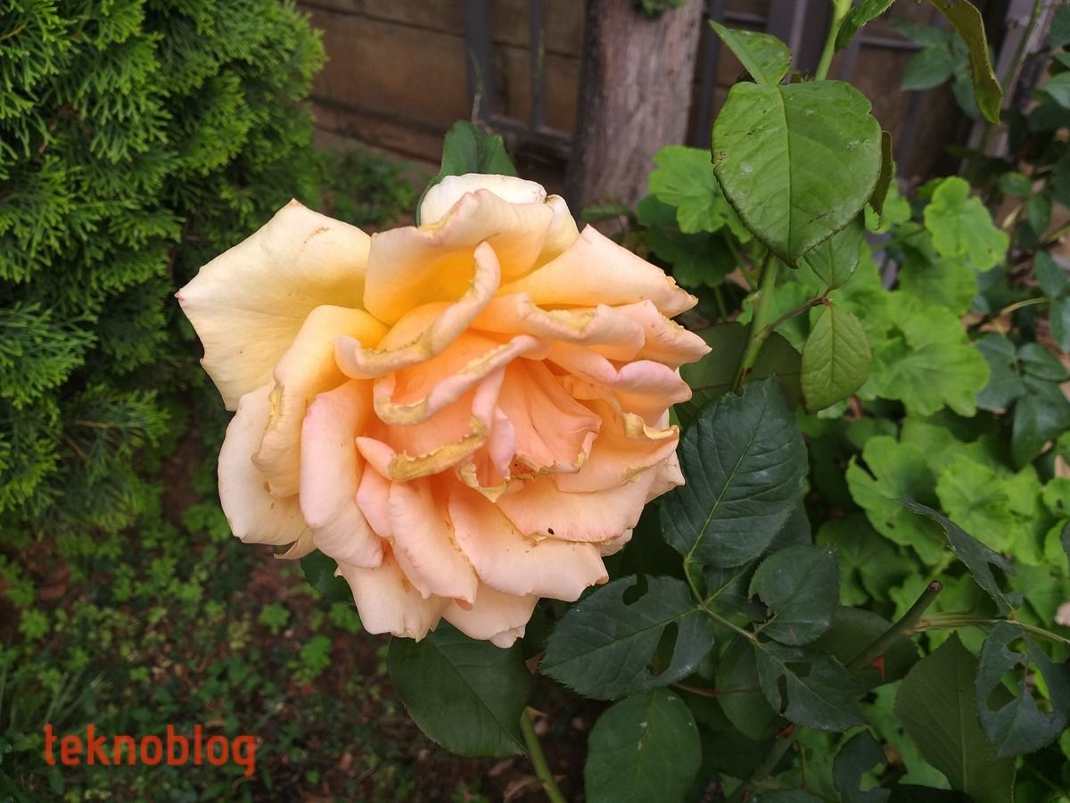 Samsung Galaxy A6+ İncelemesi