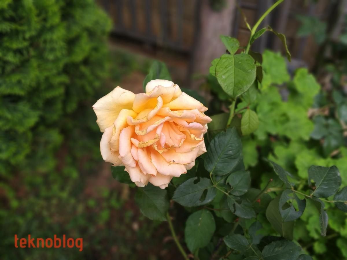 Samsung Galaxy A6+ İncelemesi