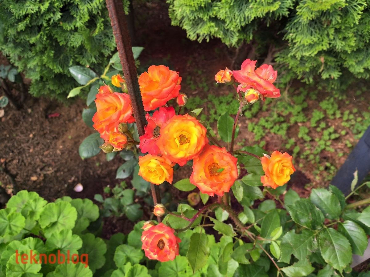 Samsung Galaxy A6+ İncelemesi