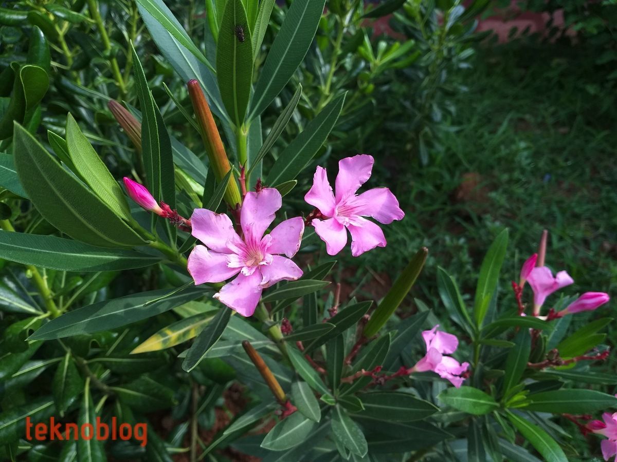 Samsung Galaxy A6+ İncelemesi