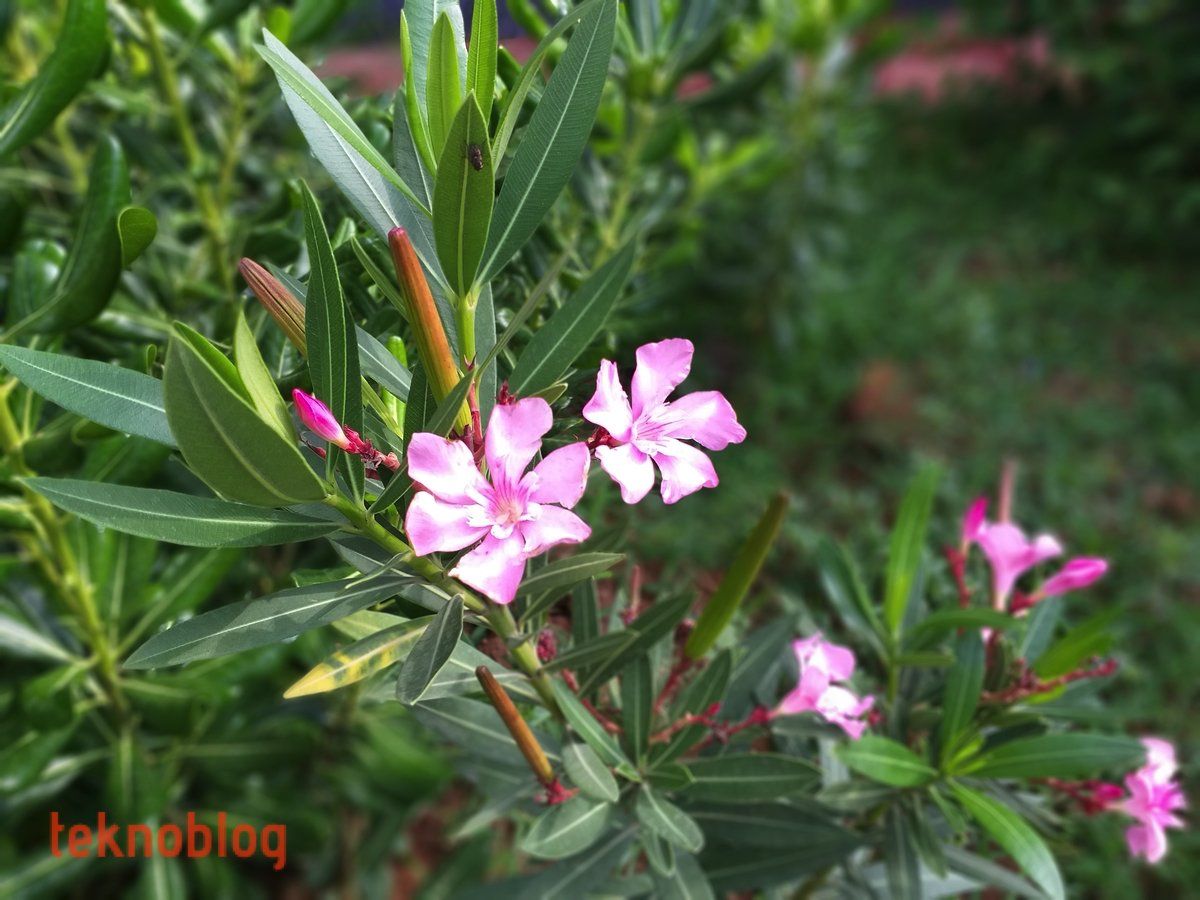 Samsung Galaxy A6+ İncelemesi