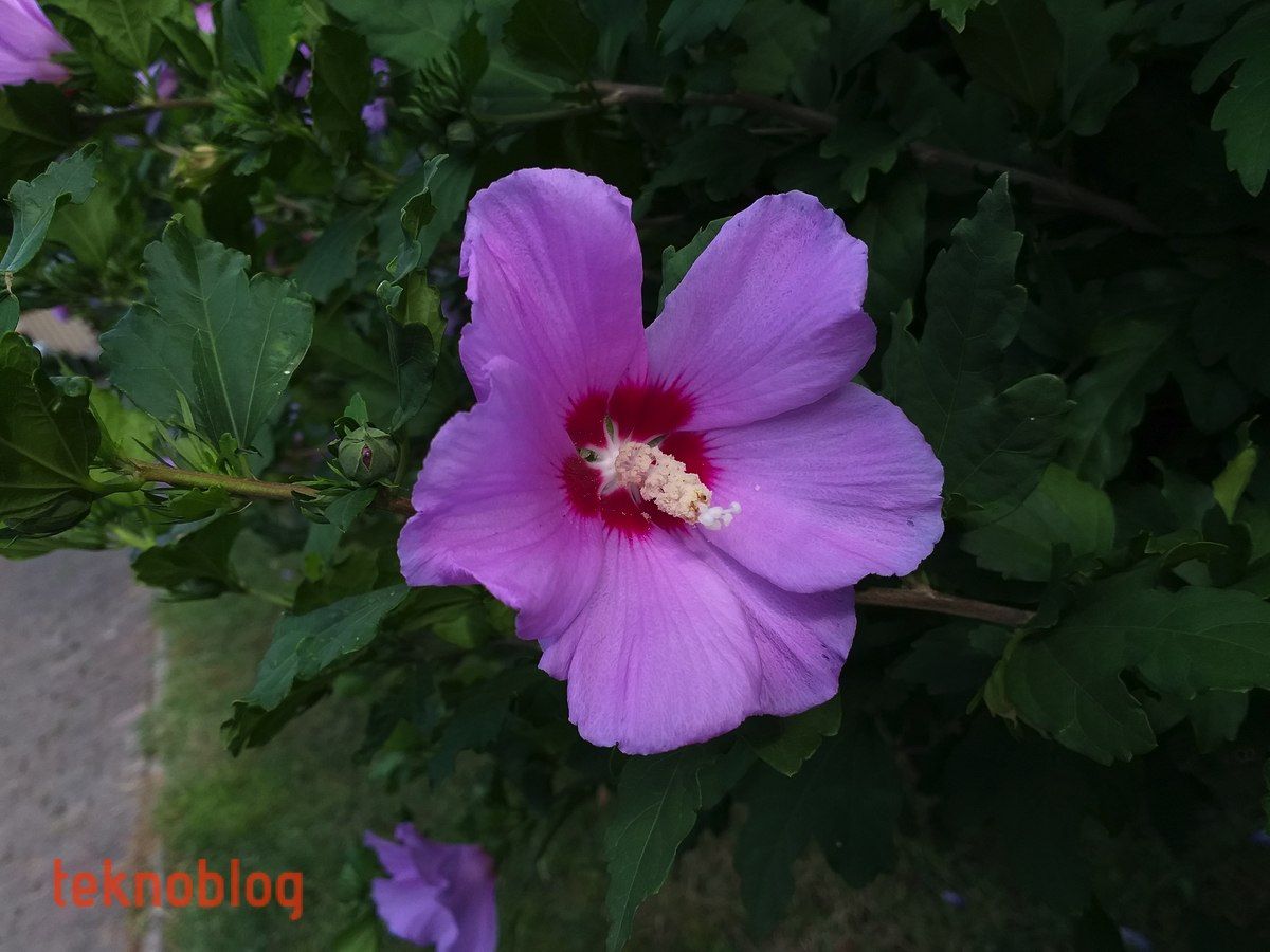 Samsung Galaxy A6+ İncelemesi