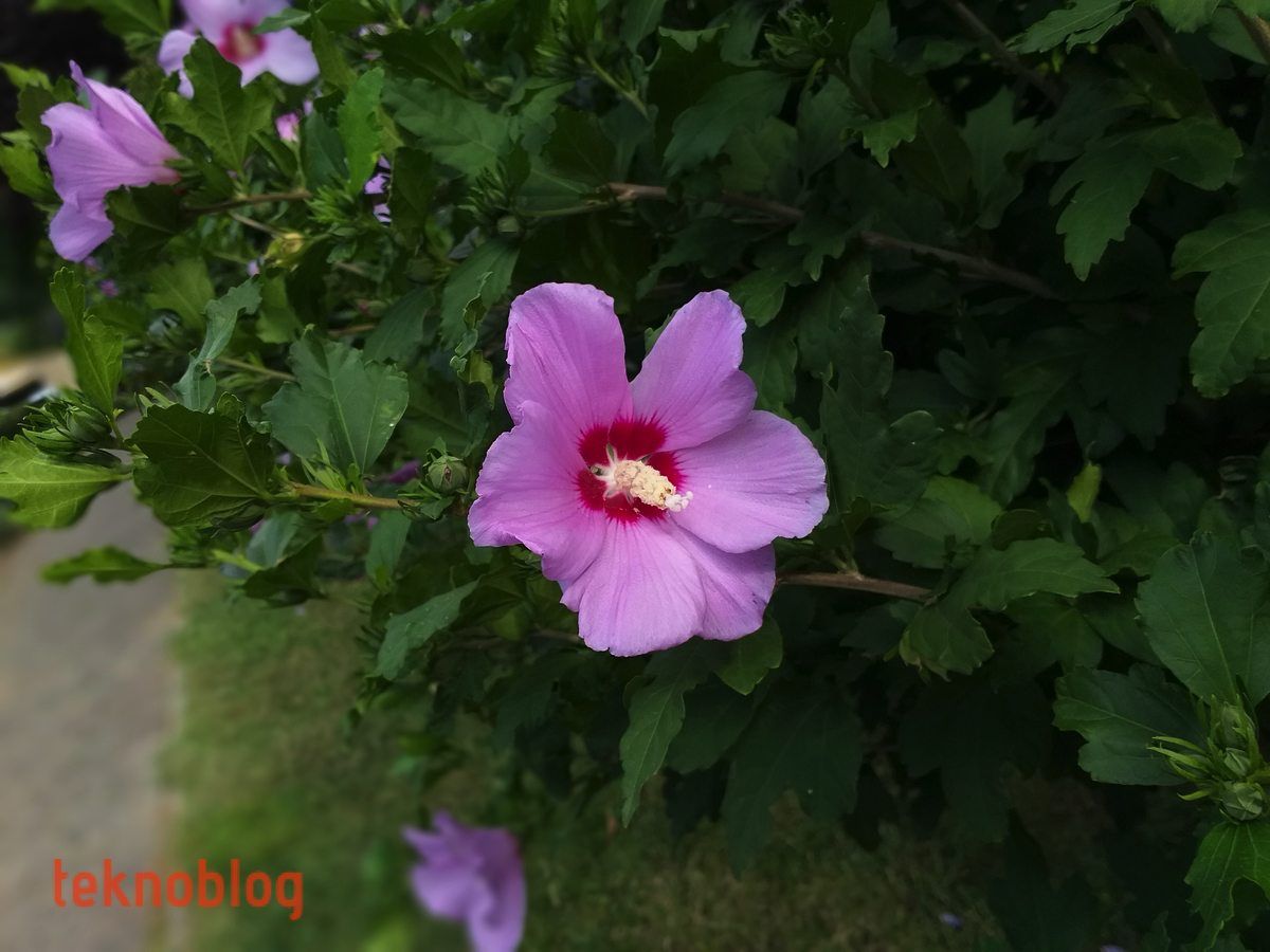 Samsung Galaxy A6+ İncelemesi