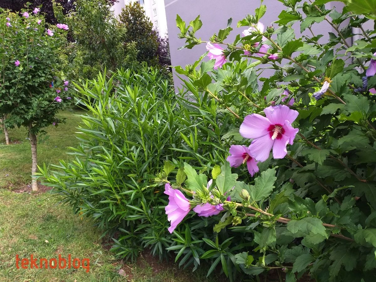 Samsung Galaxy A6+ İncelemesi