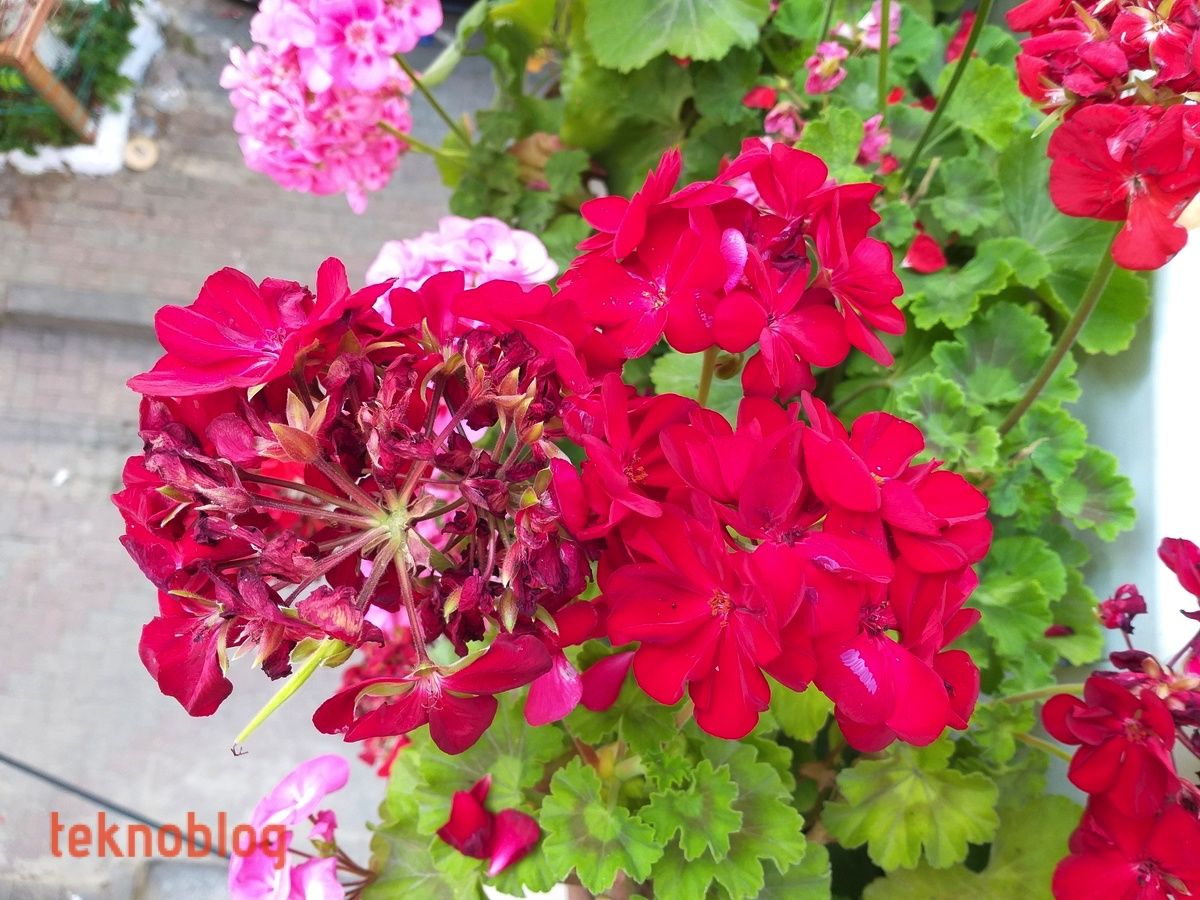 Samsung Galaxy A6+ İncelemesi