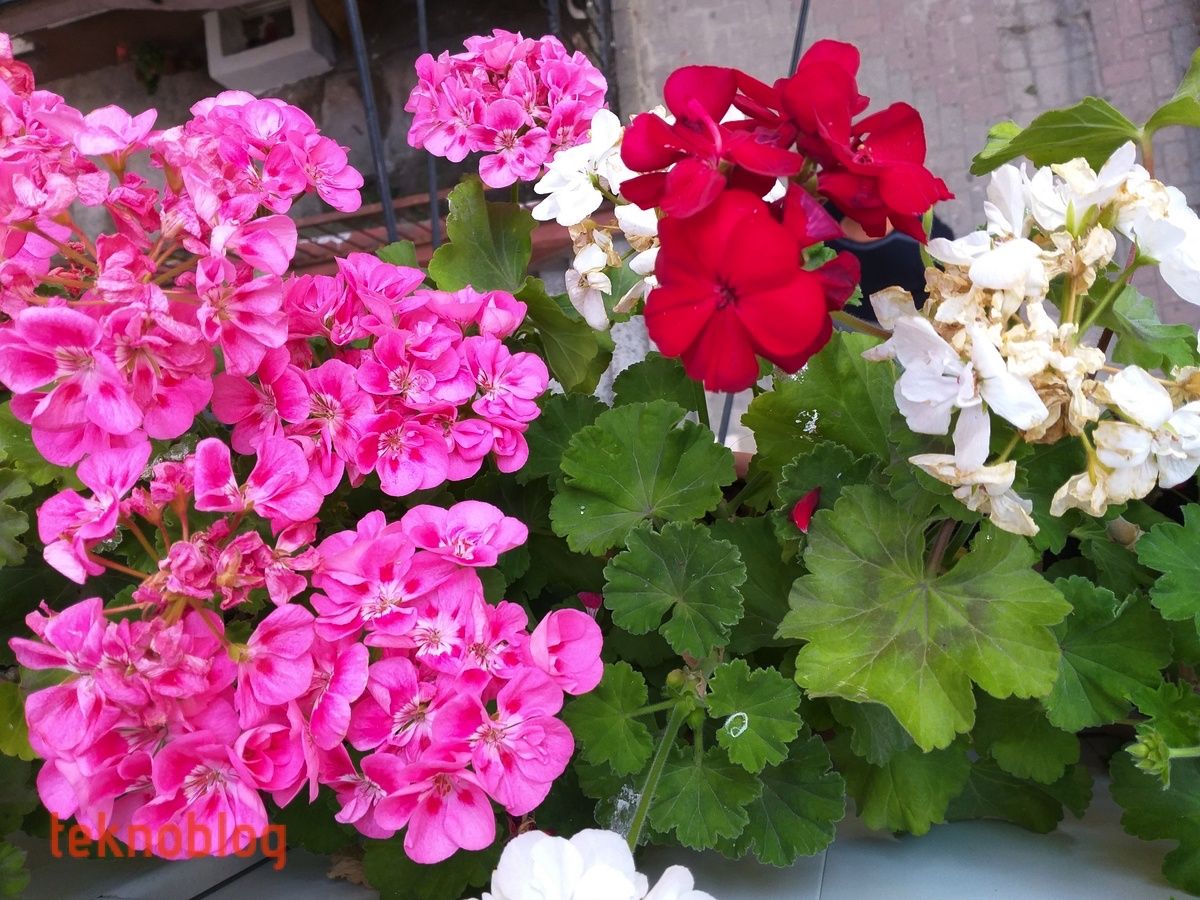 Samsung Galaxy A6+ İncelemesi