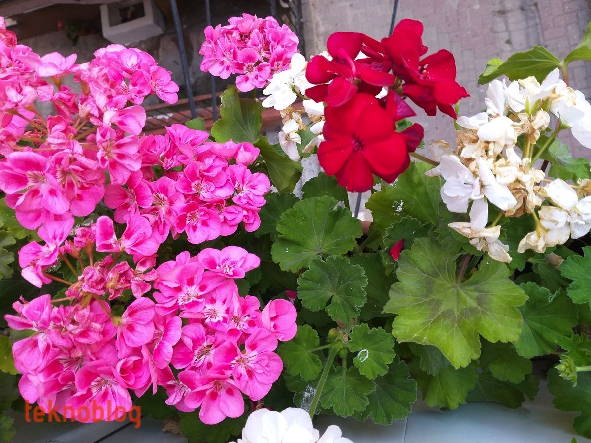 Samsung Galaxy A6+ İncelemesi