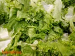 LG Q7+ İncelemesi