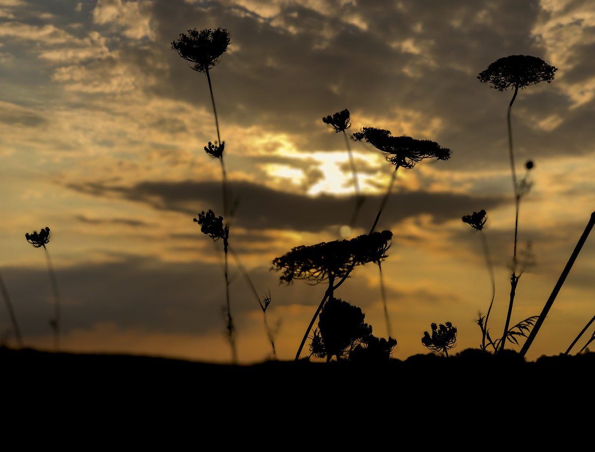 Apple’dan Dünya Fotoğrafçılık Günü şerefine iPhone ile çekilmiş fotoğraflar galerisi