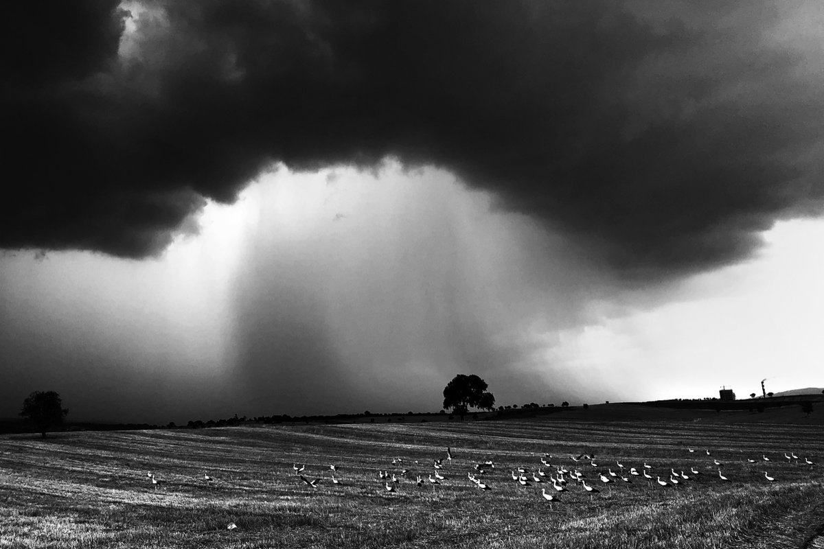 Apple’dan Dünya Fotoğrafçılık Günü şerefine iPhone ile çekilmiş fotoğraflar galerisi