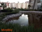 Alcatel 3 İncelemesi