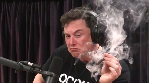 Elon Musk canlı yayında esrar içti, Tesla hisseleri değer kaybetti