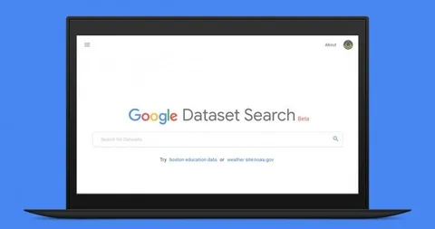 Google araştırmalara yardımcı olacak veri kümesi arama motorunu açtı
