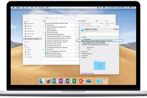 Microsoft OneDrive Files On-Demand’i Mac’e getiriyor