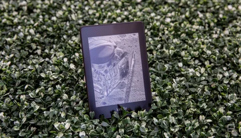 Amazon Kindle Paperwhite için yeni modeller yolda