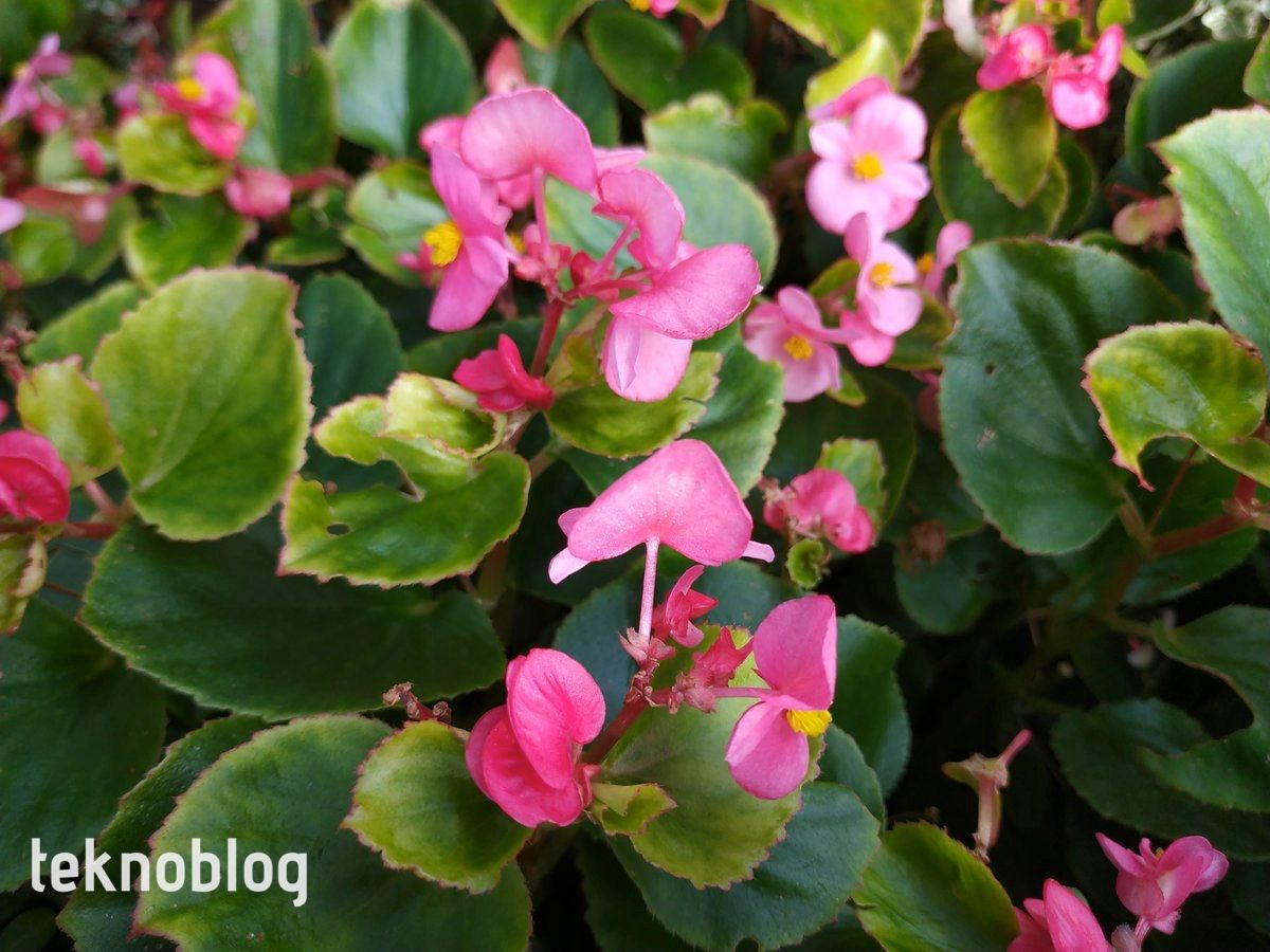 General Mobile GM 9 Pro İncelemesi