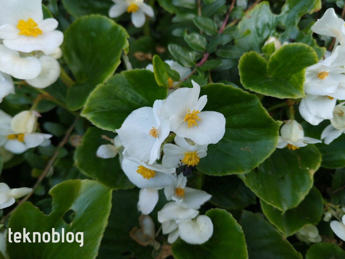 General Mobile GM 9 Pro İncelemesi