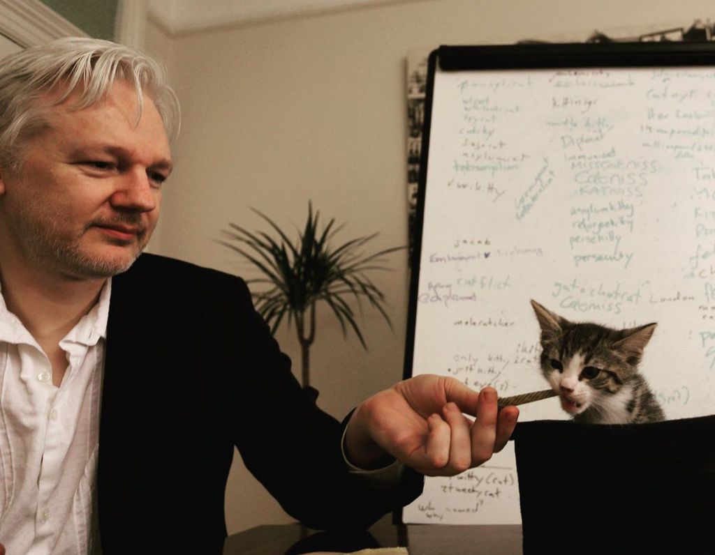 julian assange