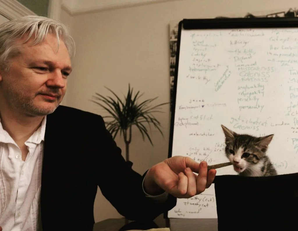 Julian Assange ve Ekvador arasında kedi gerginliği yaşanıyor