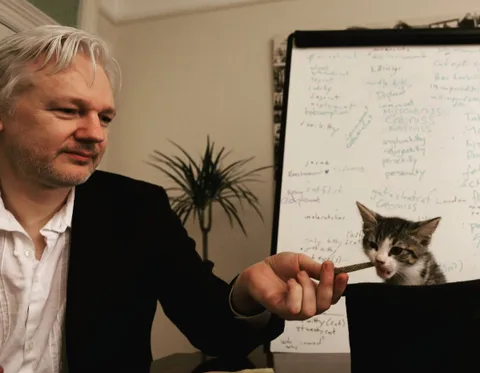 Julian Assange ve Ekvador arasında kedi gerginliği yaşanıyor