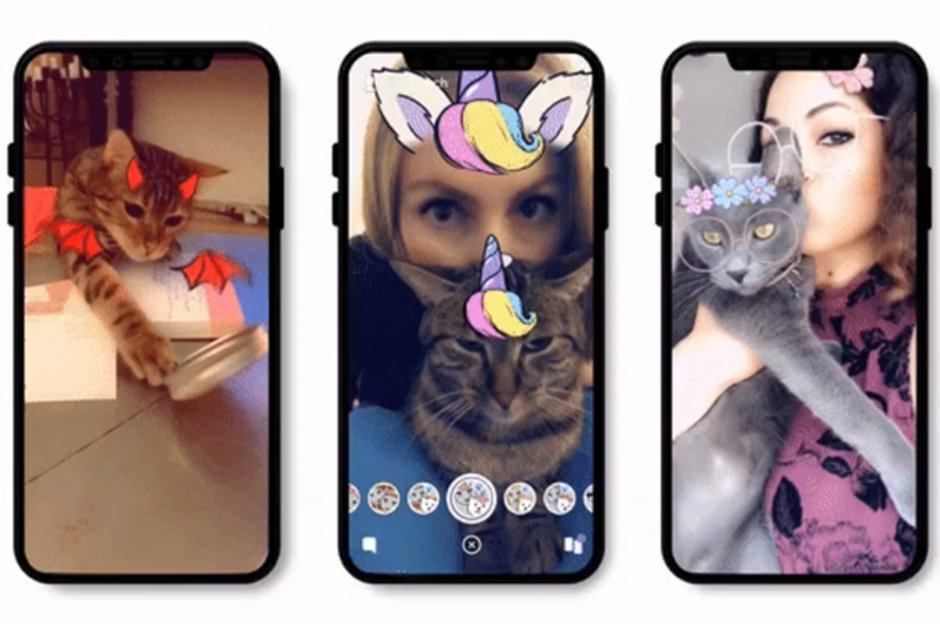 snapchat kedi filtreleri